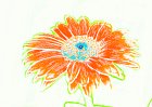Expressionist Flowers  Orange Daisy #0864